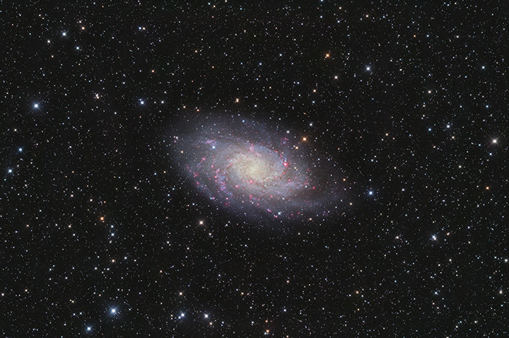 M33